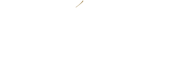 THE PREMIER FLOOR